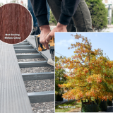 Council to Begin Streetscape Renewal