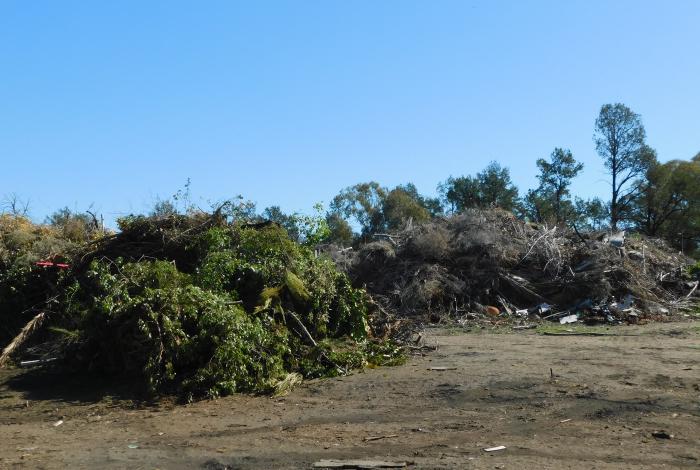 Narrandera Waste Facility Green waste section