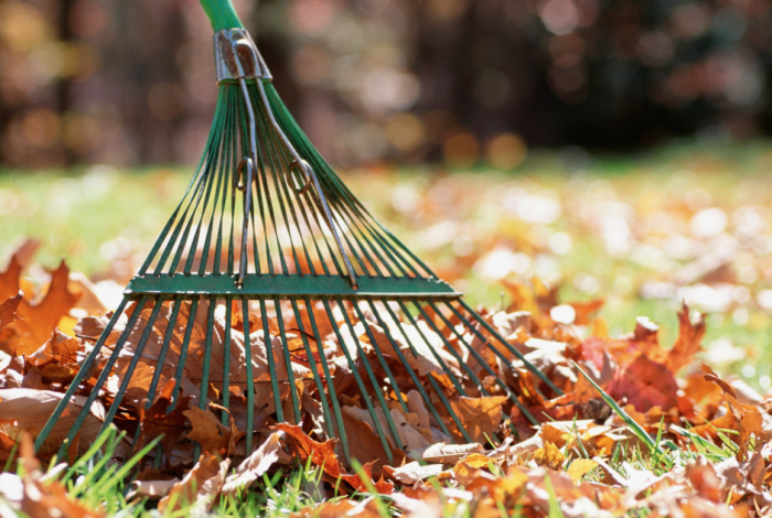 Leaf Collection Service Ending Next Week
