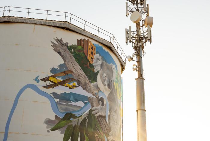 Council Facility Closure