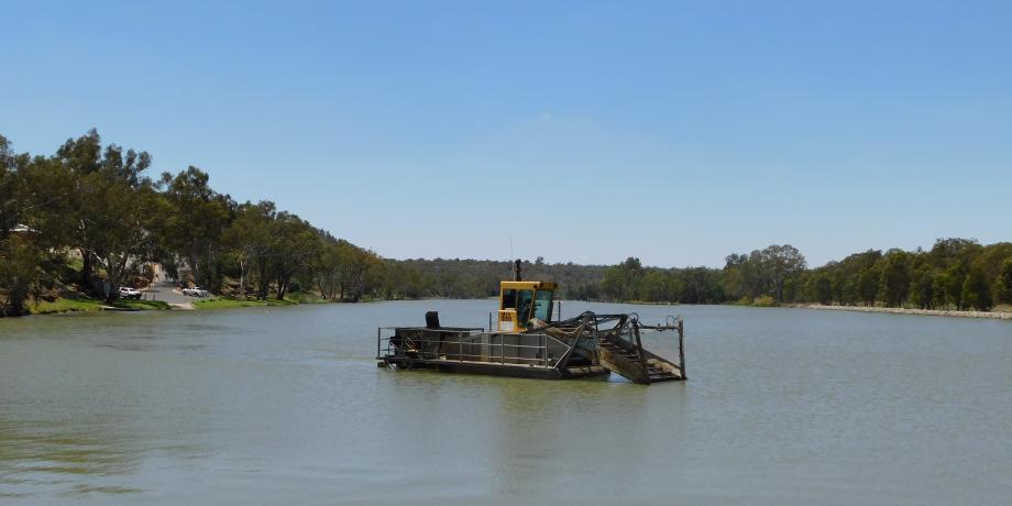 Weed Harvesting at Narrandera's Lake Talbot