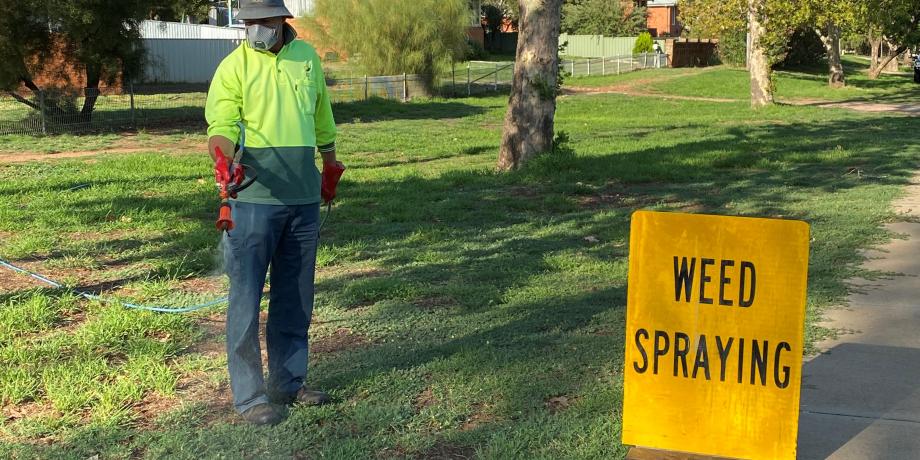 Weeds spray operator along Victoria Avenue Narrandera