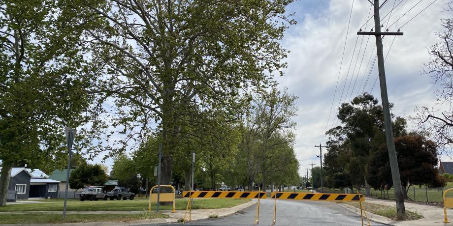 Tree Management Works