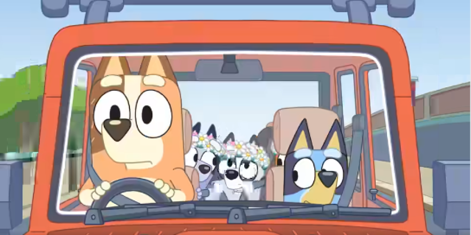 Bluey seat belts