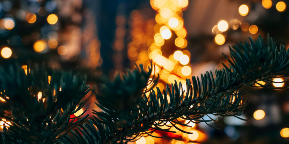 Narrandera Shire Council Launches Annual Christmas Lights Competition For 2025