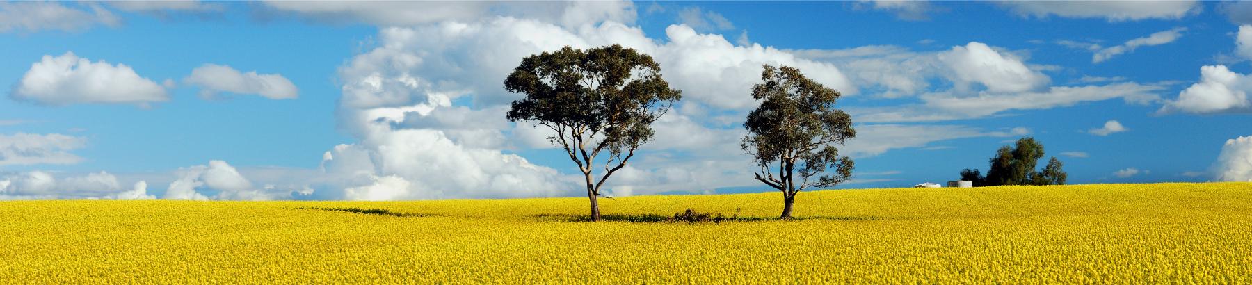 Narrandera Shire Environment