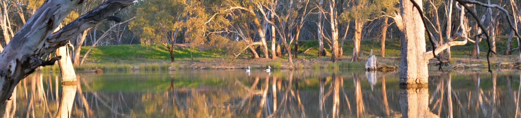 Flora and Fauna Reserve