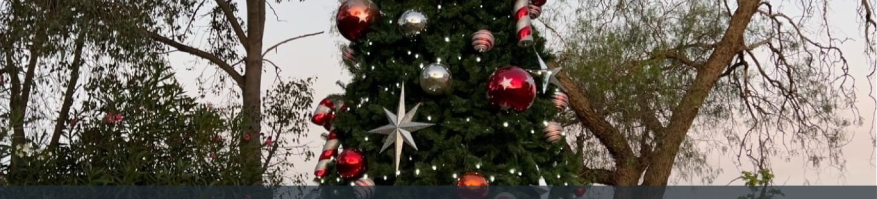 B XMAS