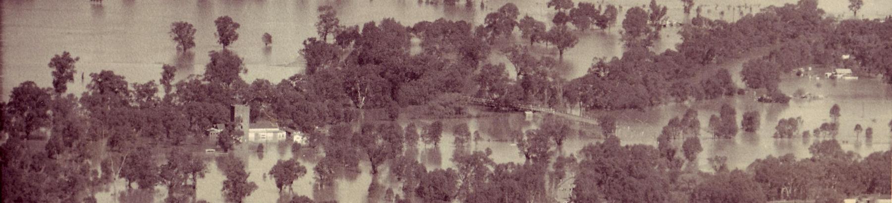 Historic Photo Narrandera in Flood