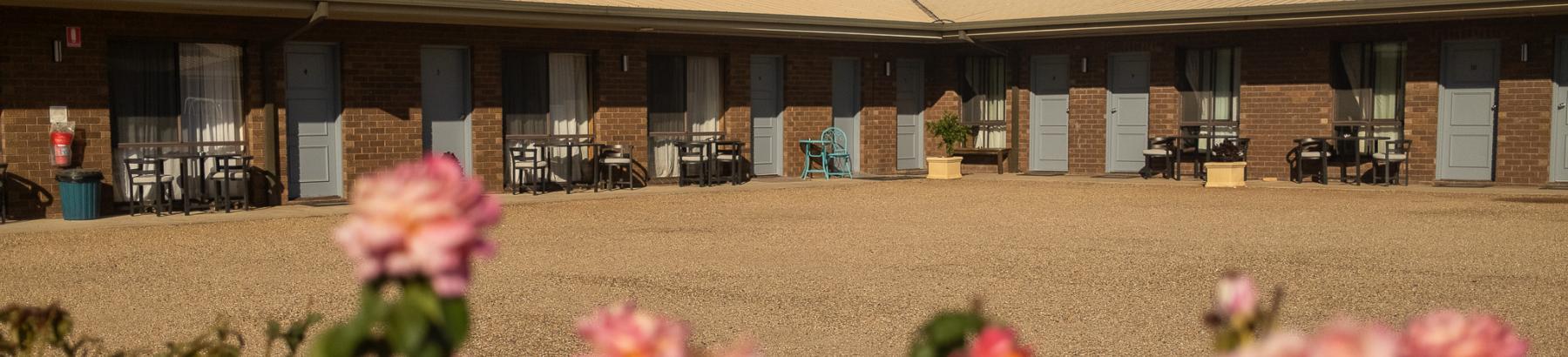Pink flowers in foreground with the rooms of the Newell Motor Inn in background. 