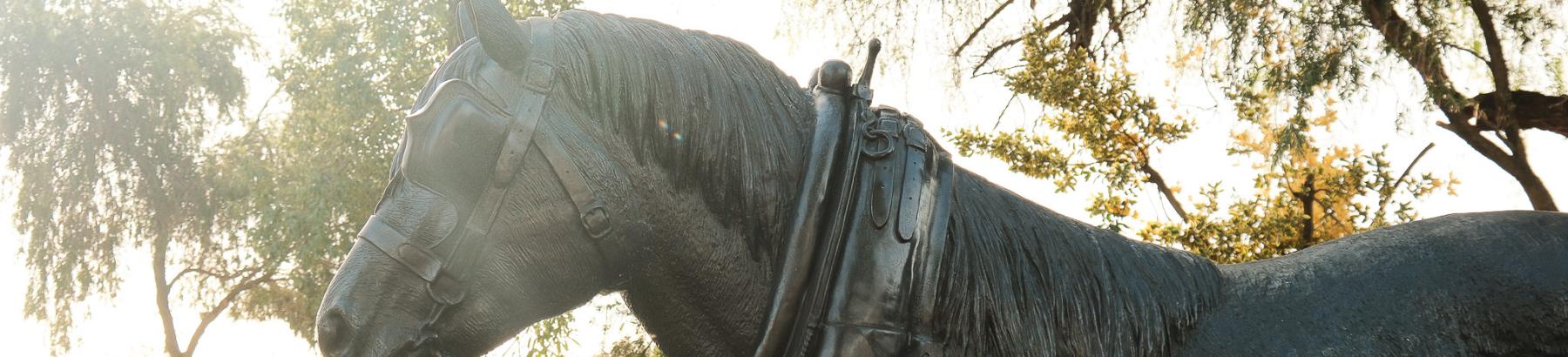 Barellan Clydesdale Statue at Sunset