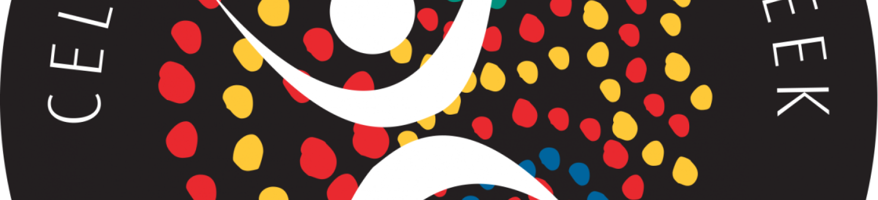 2025 NAIDOC logo