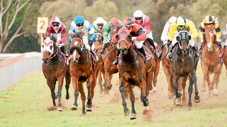 Narrandera 2024 ProTen Race Carnival