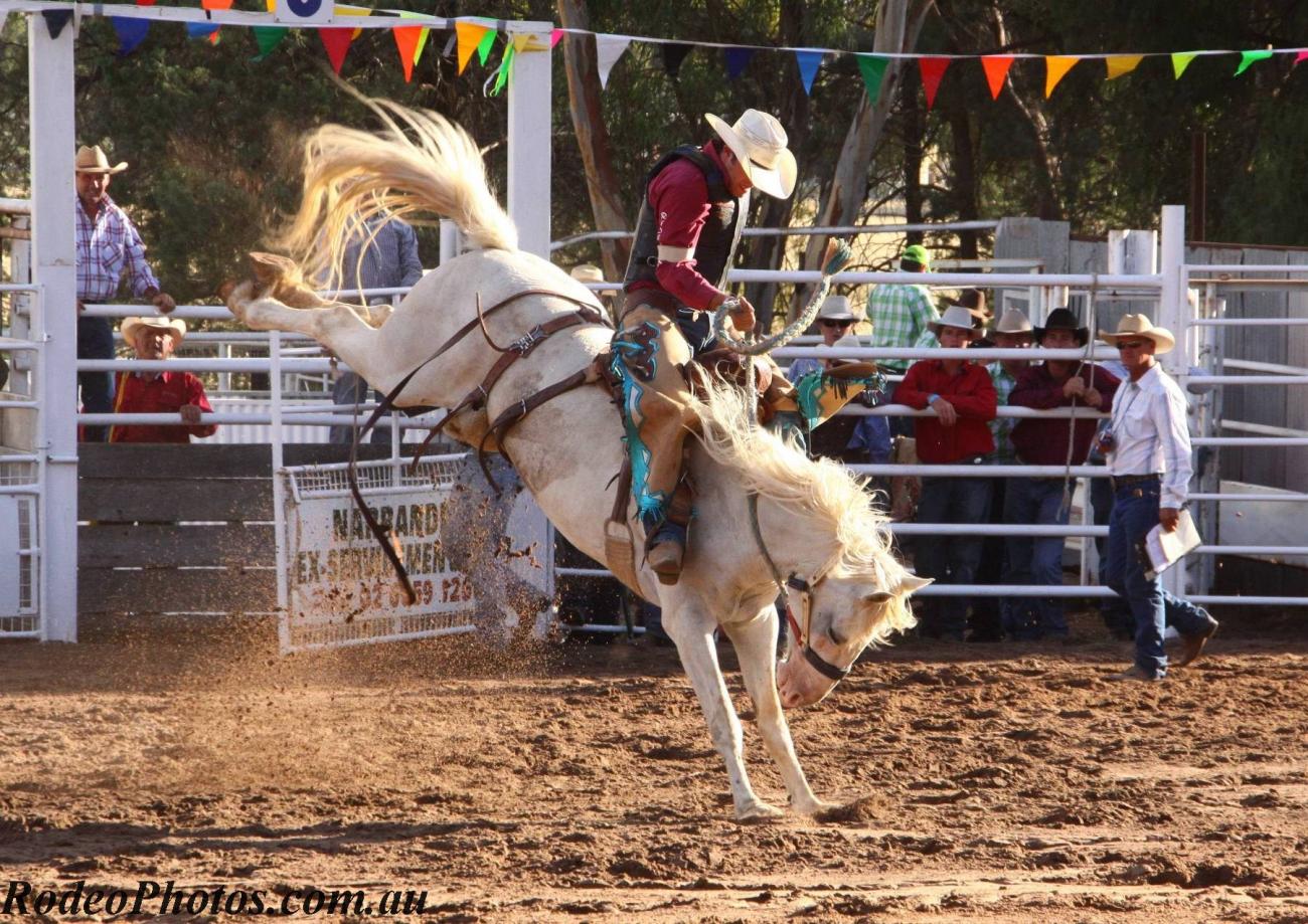 Narrandera Rodeo image by Mark Edwards