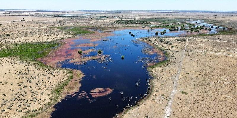 Yanco Creek Modernisation Project