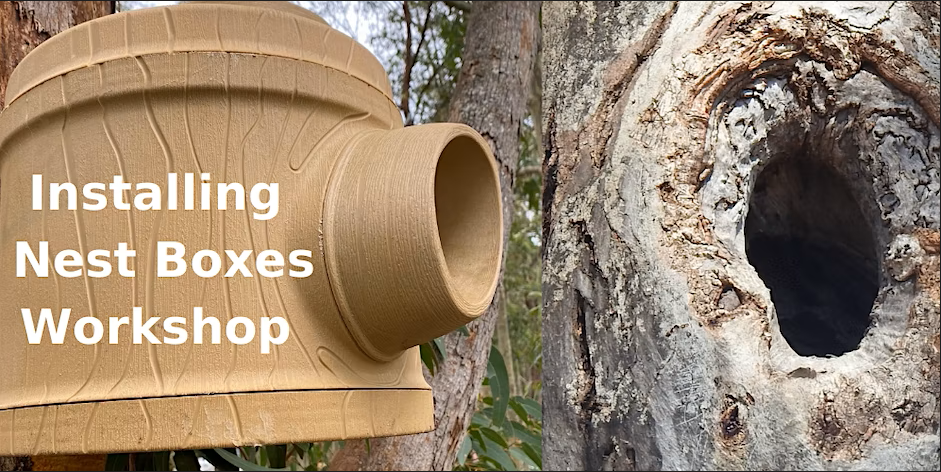 Nest Boxes Workshop at Narrandera
