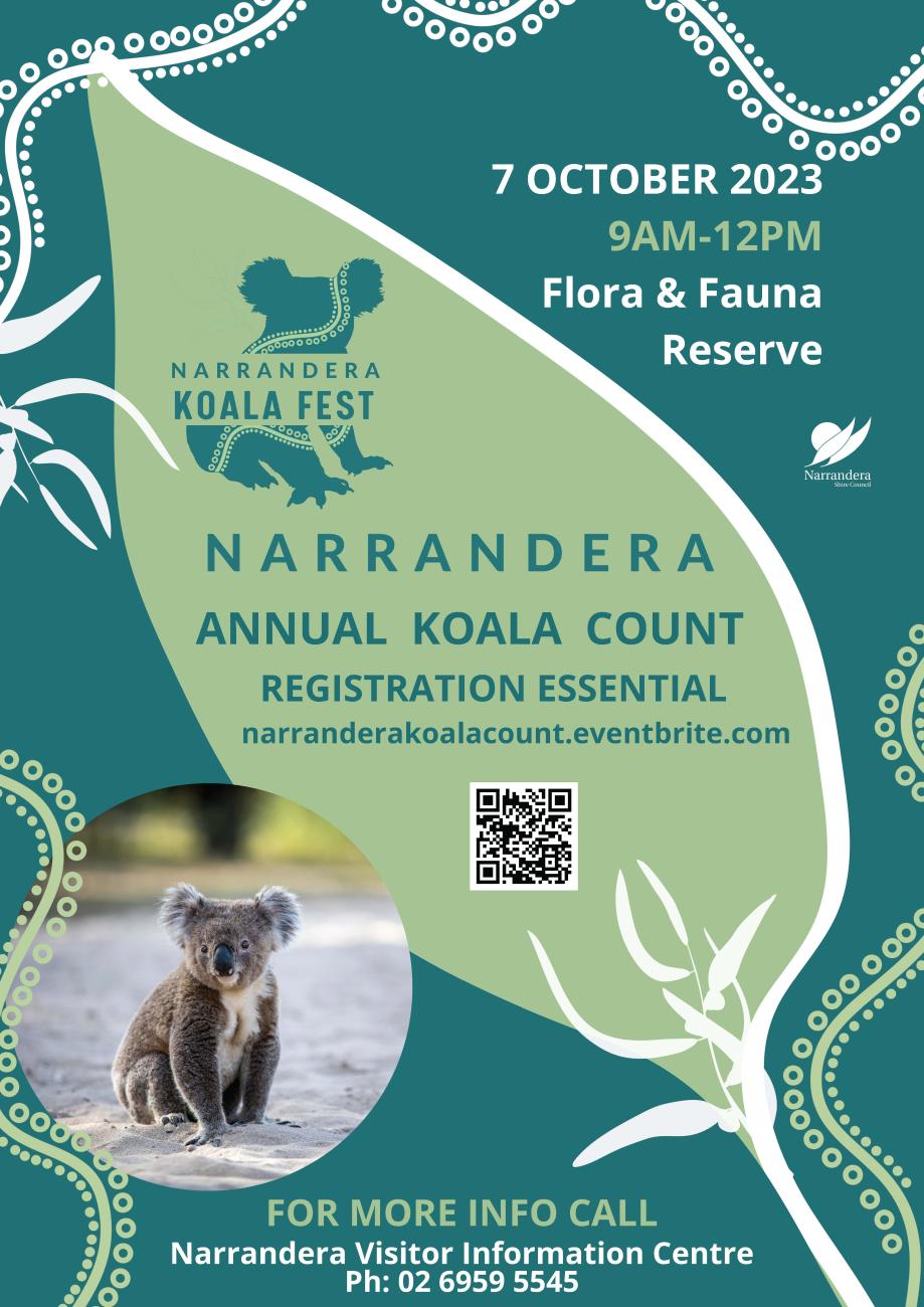 Koala Count