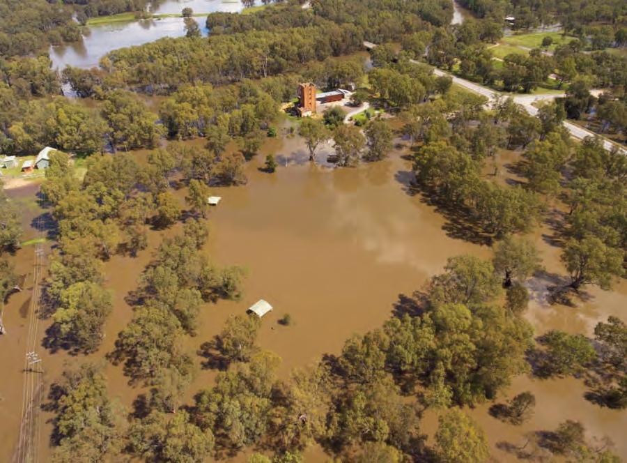 Brewery Flat Flooding