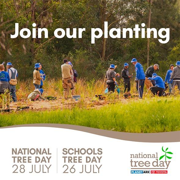 tree planting day