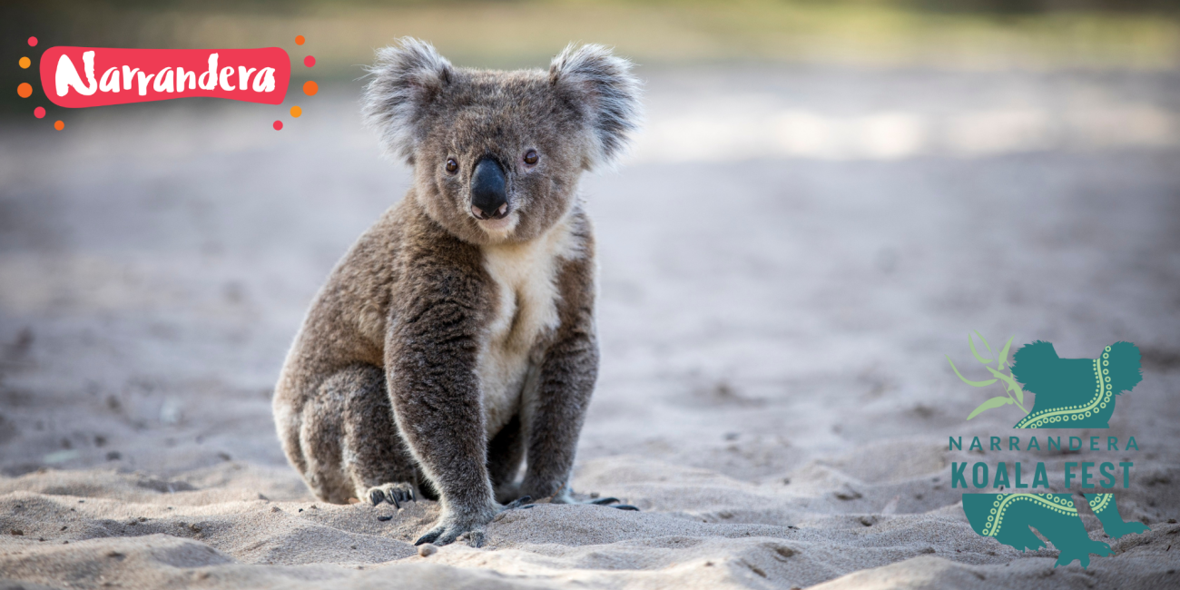 2024 Narrandera Koala Fest
