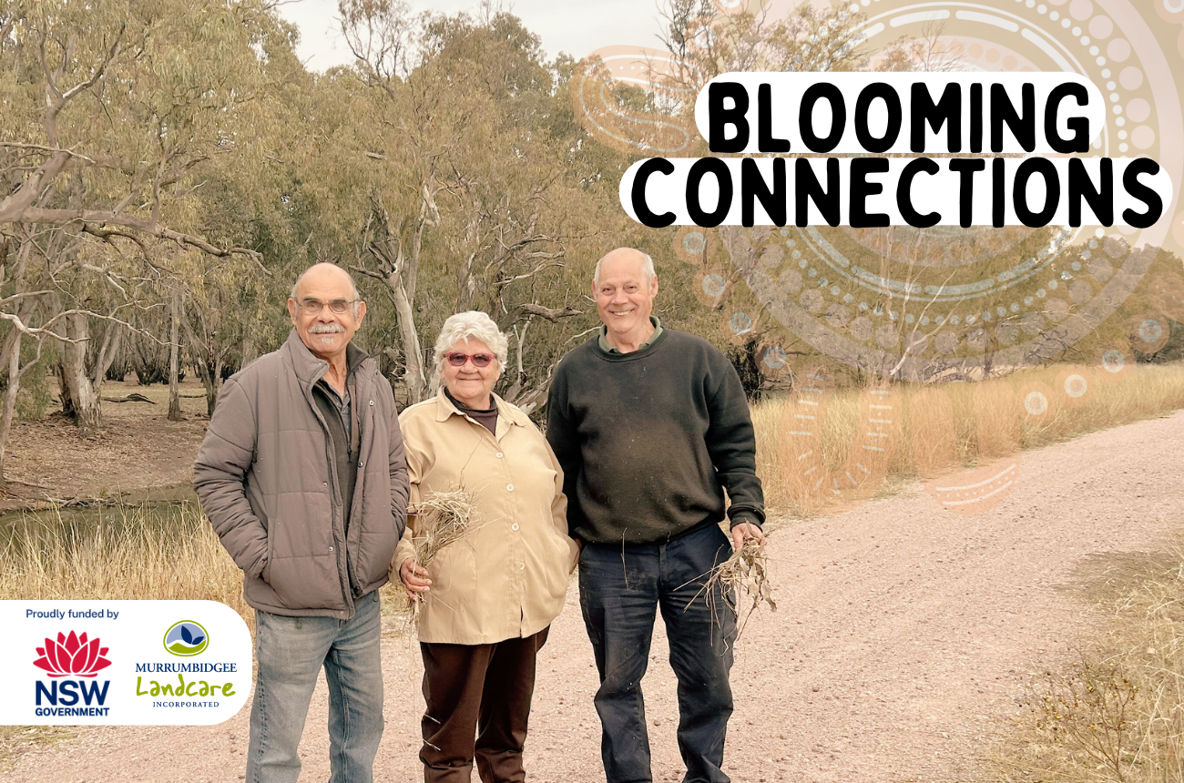 Blooming Connections
