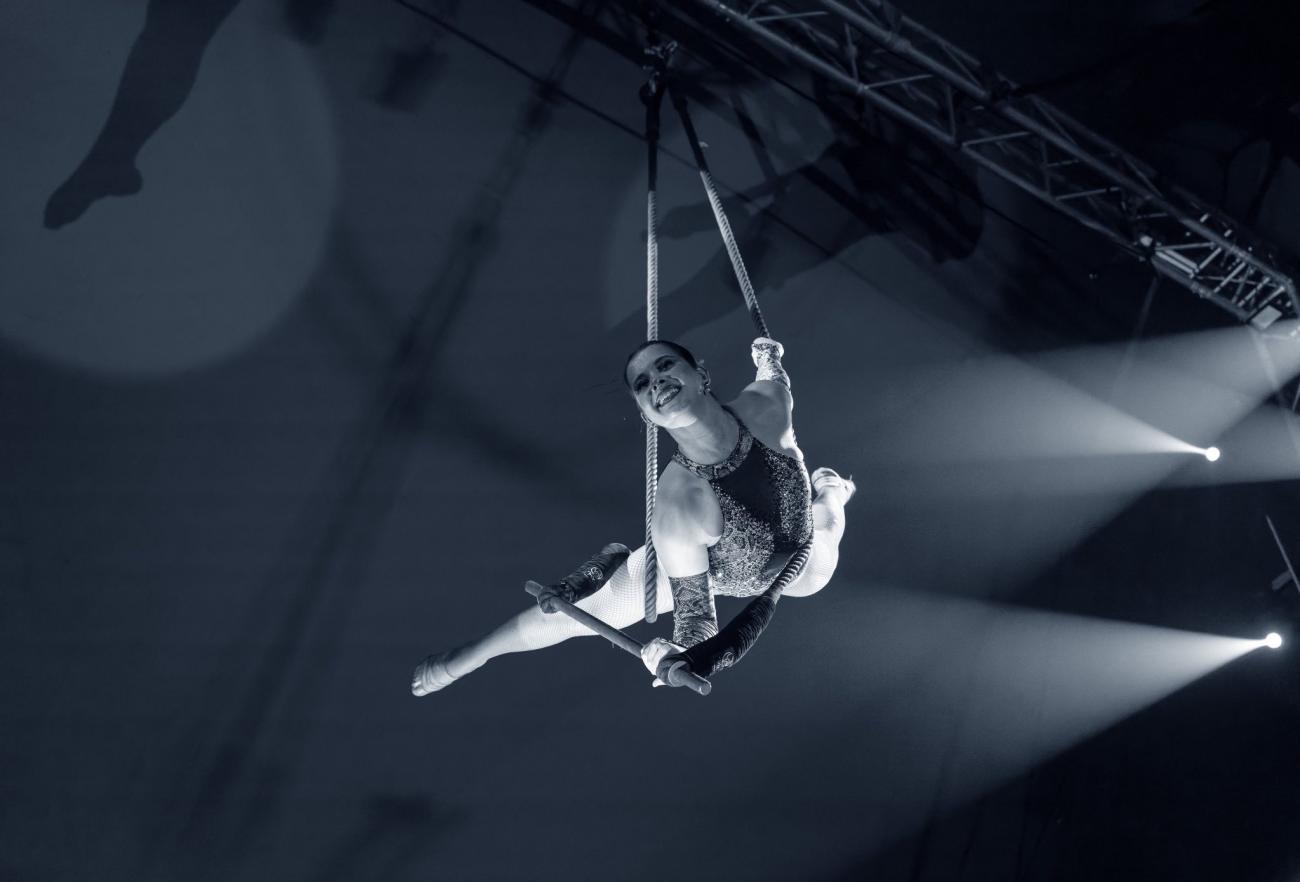 The Harrington Circus Show aerialist