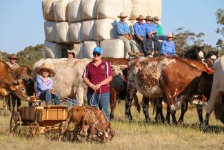 Barellan Good Old Days Festival