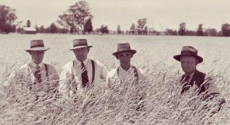 Four men standing in wheatfield in Narrandera NSW