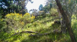 Bundidgerry Walking track near Rocky Waterholes