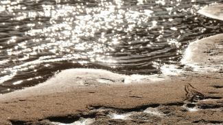 Koori Beach on the Murrumbidgee River, Narrandera