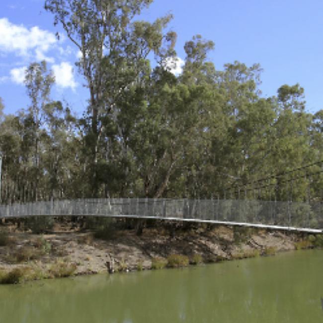 Northbank Bridge Concept