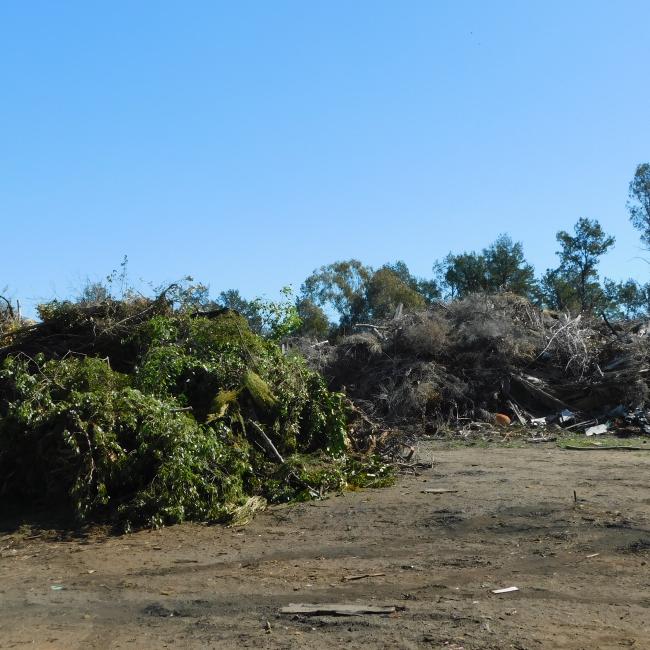 Narrandera Waste Facility Green waste section