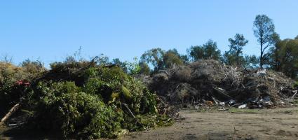 Narrandera Waste Facility Green waste section